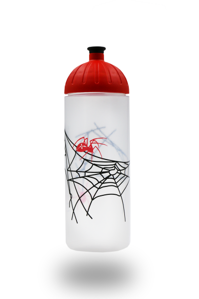 ISYbe Trinkflasche 0,7L Spinne