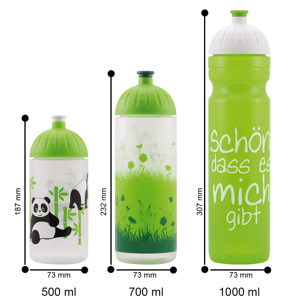 ISYbe Kindergarten-Trinkflasche Marienkäfer 0,5 Kohle auslaufsicher BPA-frei 